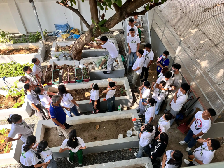 SDCC Urban Gardening Project